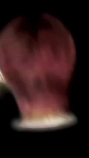 TikTok video thumbnail by inetgeroisha
