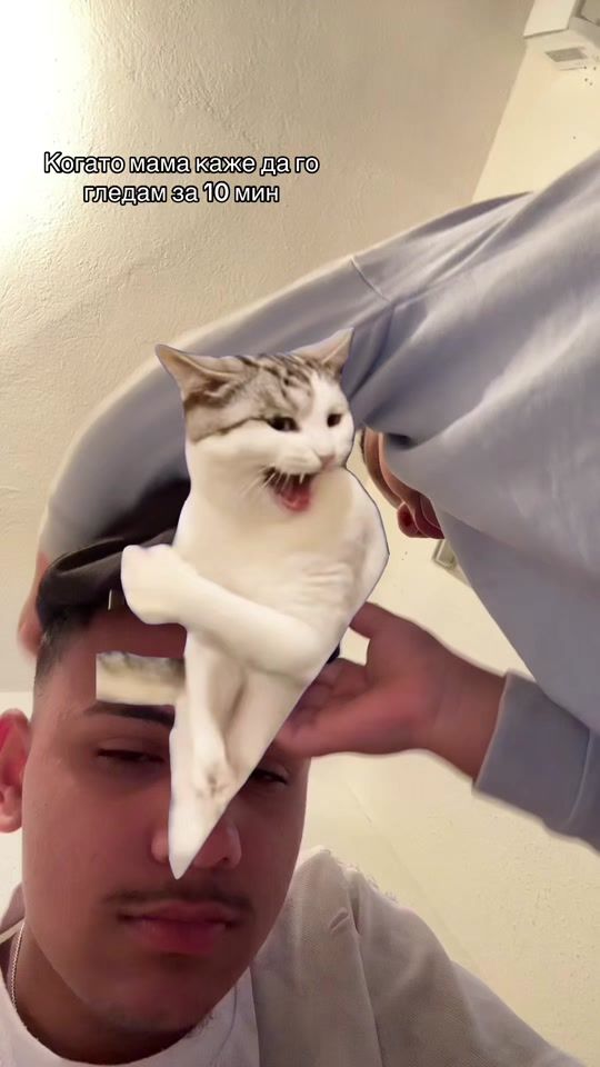 TikTok video thumbnail by borisoww77
