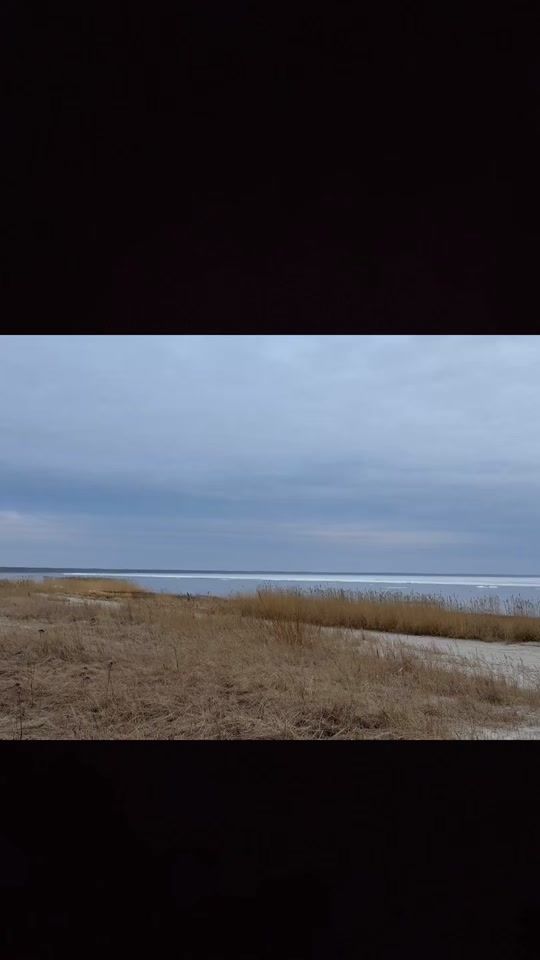 TikTok video thumbnail by linkyxd393