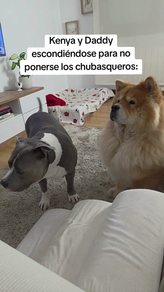 TikTok video thumbnail by kenyaydaddy