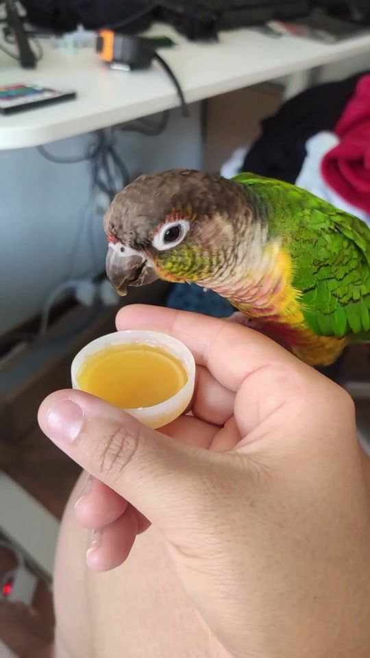TikTok video thumbnail by eiviky