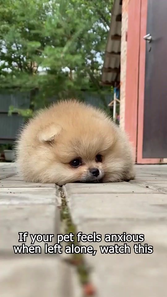 TikTok video thumbnail by netflix.sky52