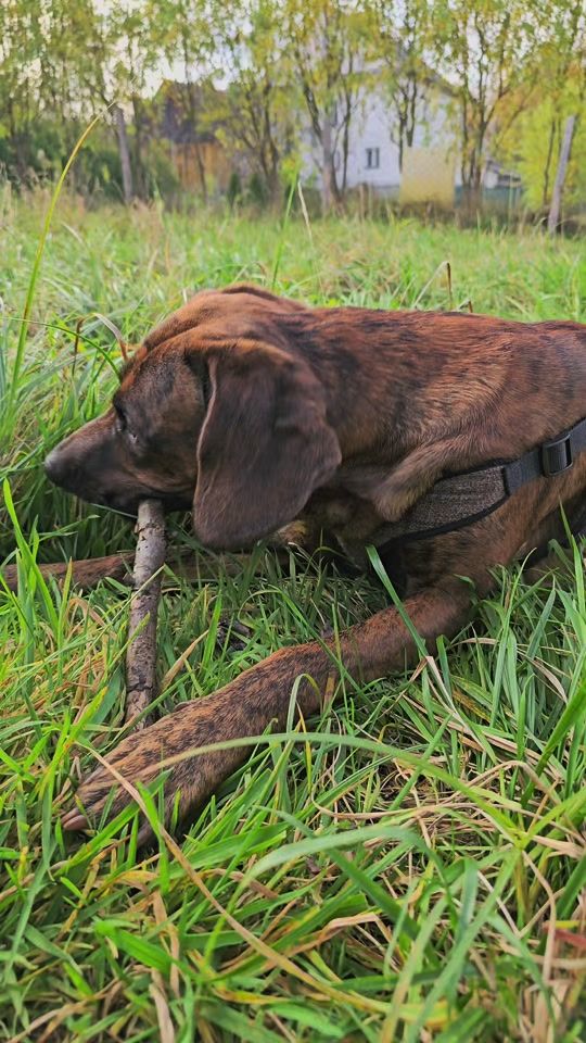 TikTok video thumbnail by textilofficial