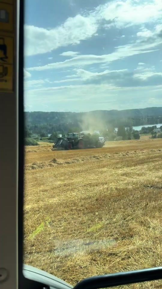 TikTok video thumbnail by northfarming