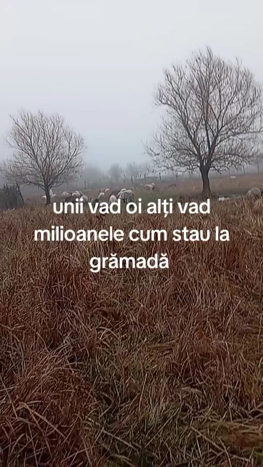 TikTok video thumbnail by stefantalmaciu6