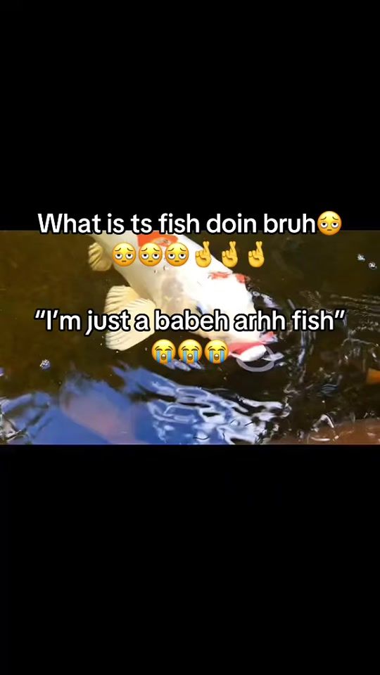 TikTok video thumbnail by brainrot_page