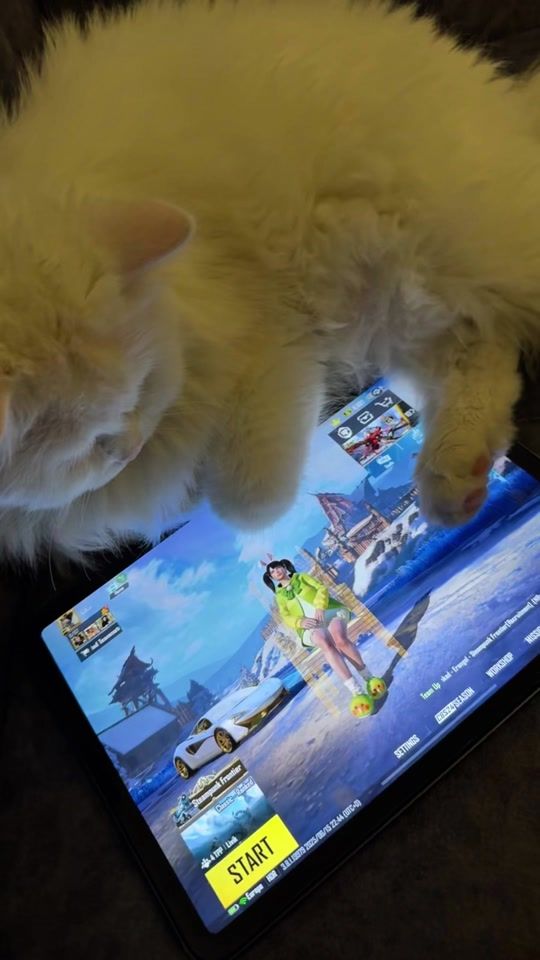 TikTok video thumbnail by ur_jana4