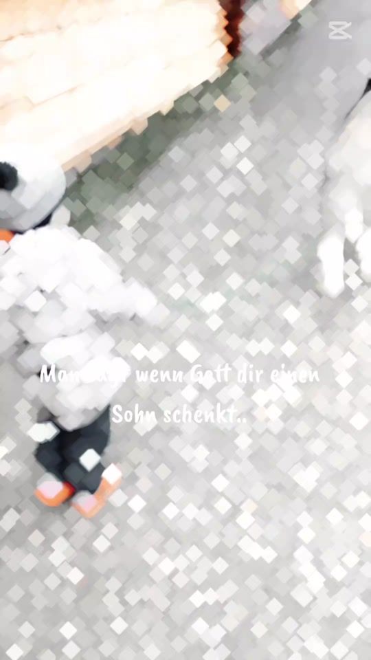 TikTok video thumbnail by _baernermeitschi._