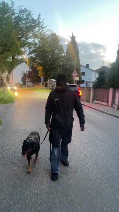 TikTok video thumbnail by musti_maybach