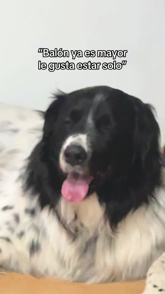 TikTok video thumbnail by madaccaceres