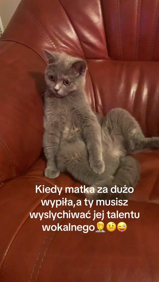 TikTok video thumbnail by motyl.2