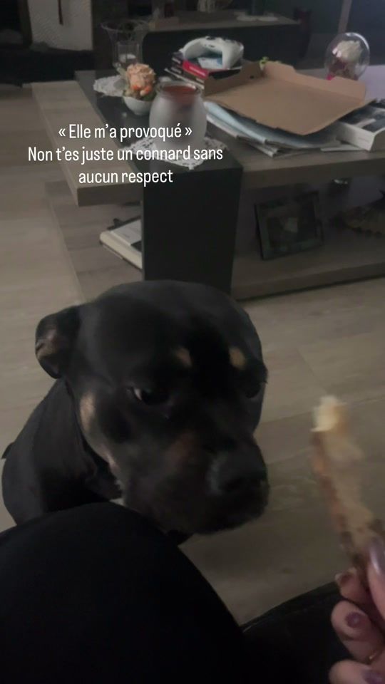 TikTok video thumbnail by obrien.gallagher