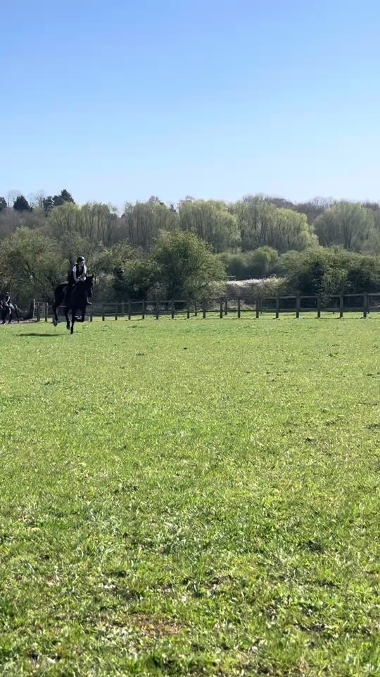 TikTok video thumbnail by evie.eva49