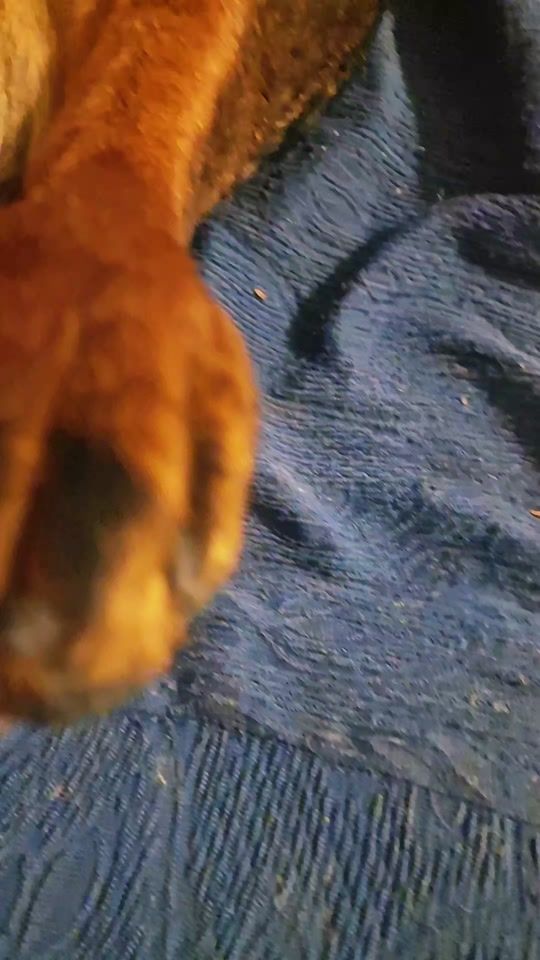 TikTok video thumbnail by ottokeyra