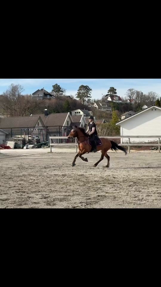 TikTok video thumbnail by aurora.eq