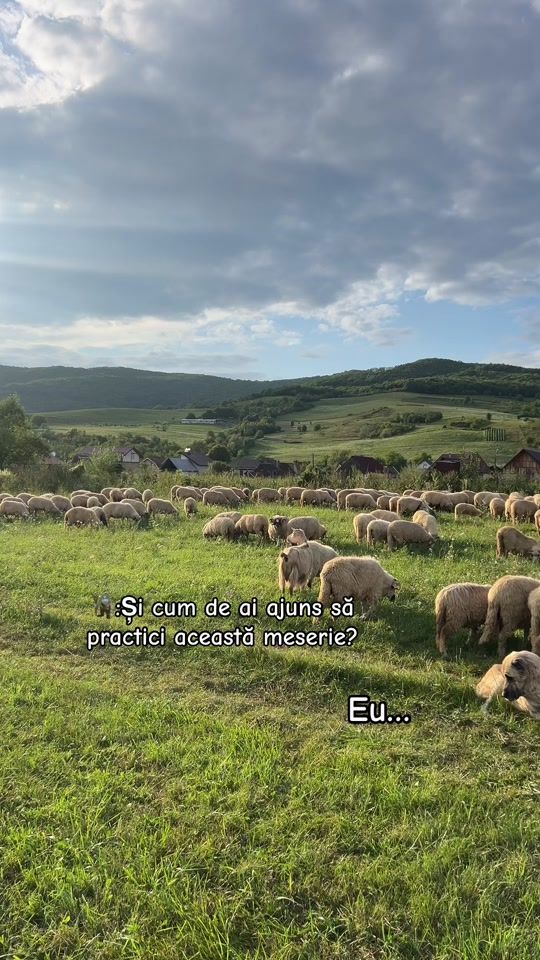 TikTok video thumbnail by maryus_florin2023
