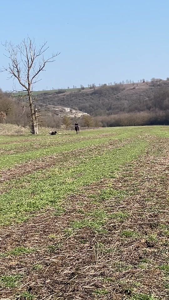TikTok video thumbnail by davidovo_atlari