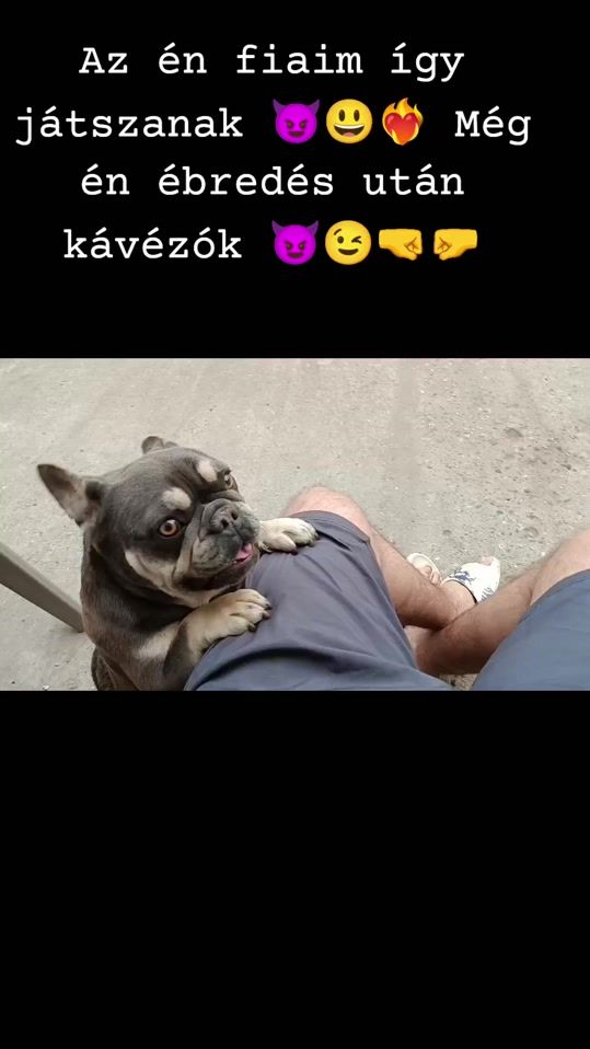 TikTok video thumbnail by istvnnmeth458