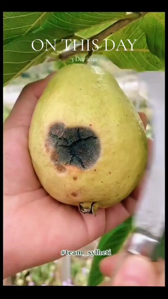 TikTok video thumbnail by team_sylheti