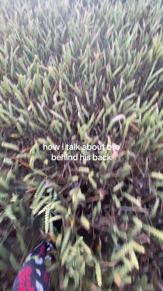 TikTok video thumbnail by illtrynottodie