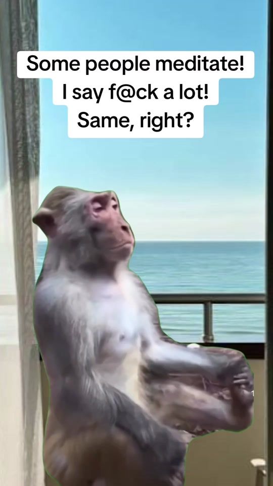 TikTok video thumbnail by eu.pho.ria.a0