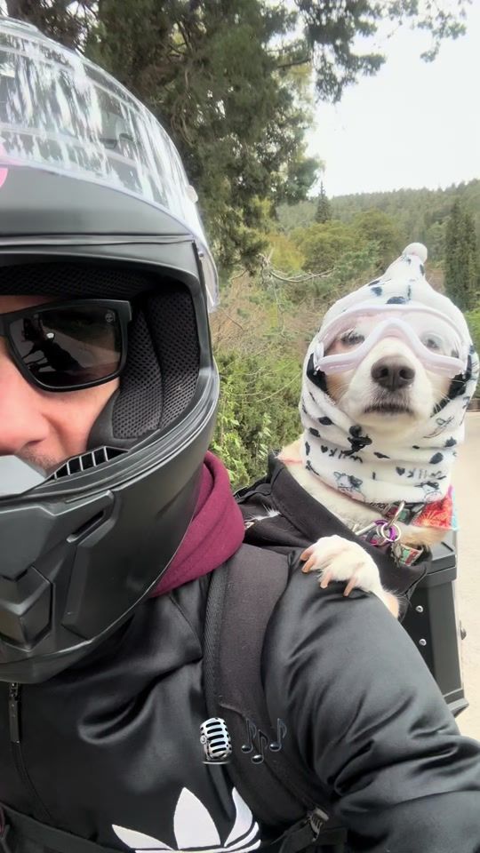 TikTok video thumbnail by bianca.vroom