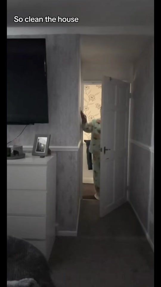 TikTok video thumbnail by beckiwebkinnyfp