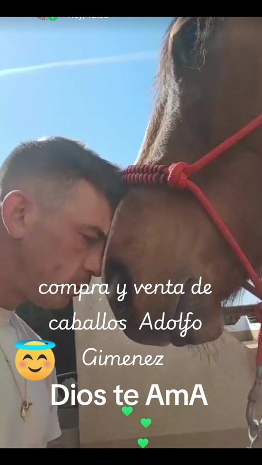 TikTok video thumbnail by moises_bendecido