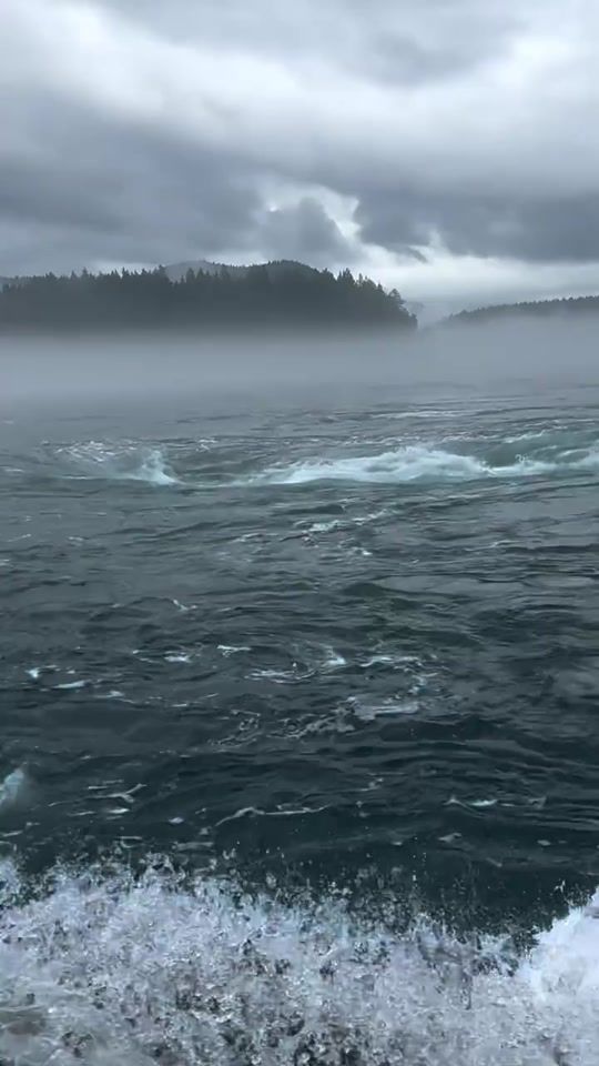 TikTok video thumbnail by amazingocean2