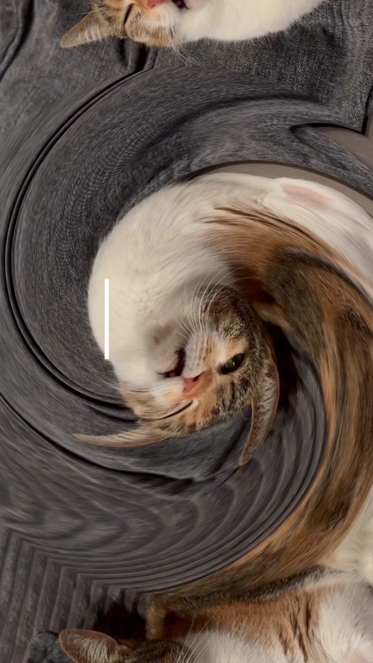 TikTok video thumbnail by mrs.miuki