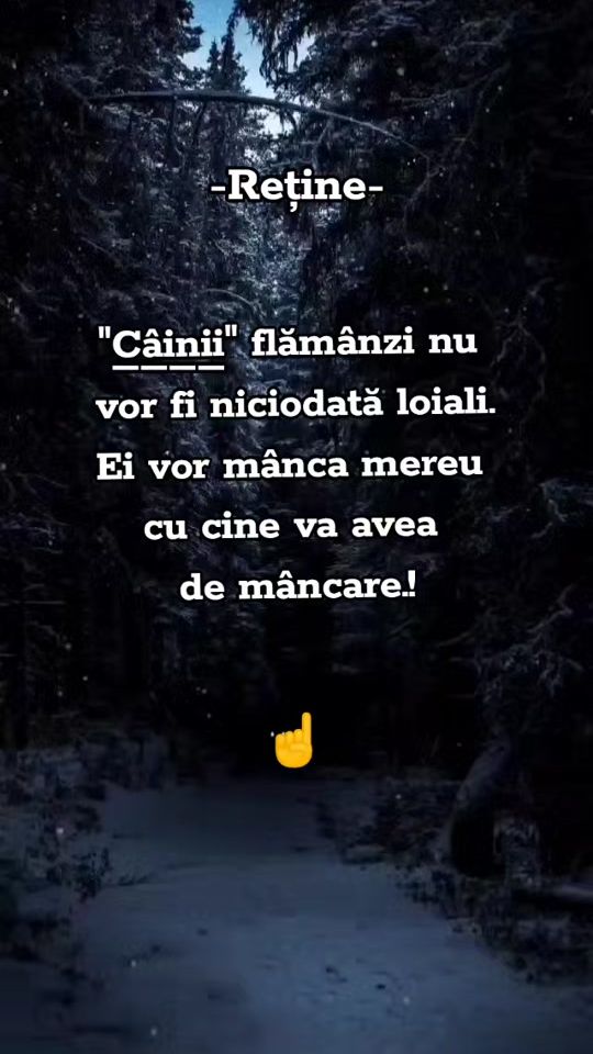 TikTok video thumbnail by omul_bun