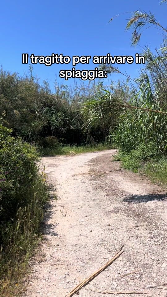 TikTok video thumbnail by serenacaucci