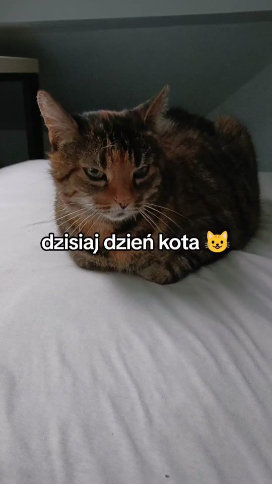 TikTok video thumbnail by lukas415_tiktok