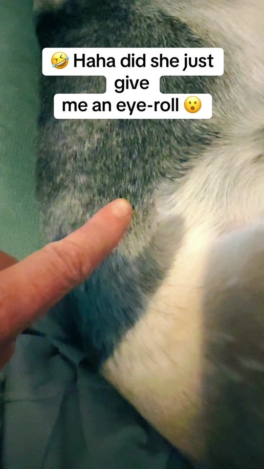 TikTok video thumbnail by annemariew80