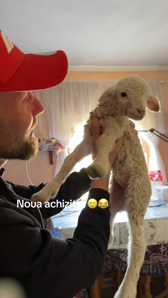 TikTok video thumbnail by yrina_yri