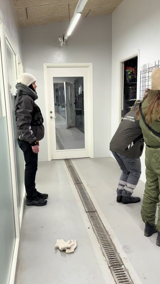 TikTok video thumbnail by roskildeinternat