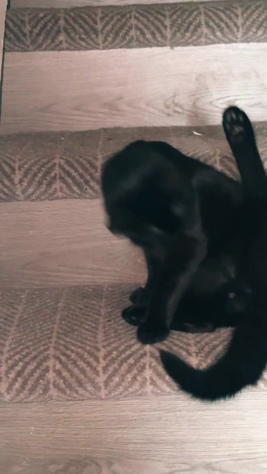 TikTok video thumbnail by tiger.bc807