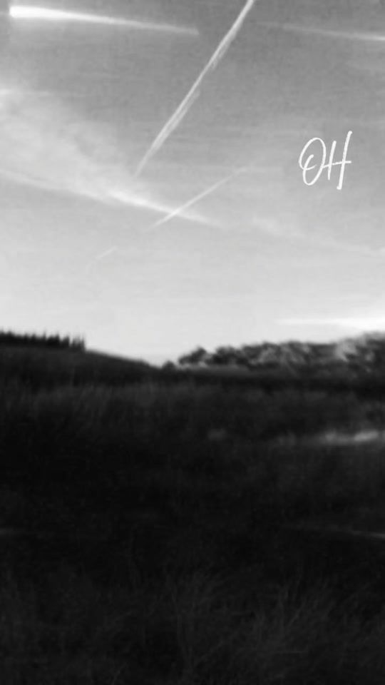 TikTok video thumbnail by aishawerfalli