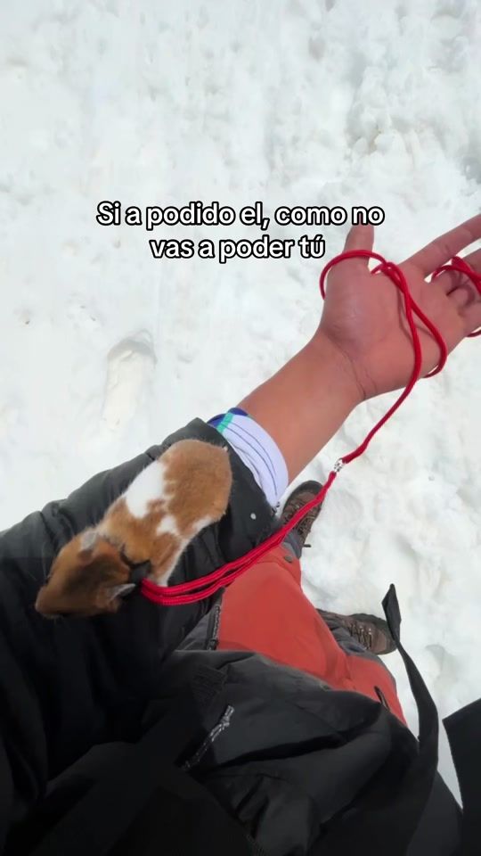 TikTok video thumbnail by talbilaurent