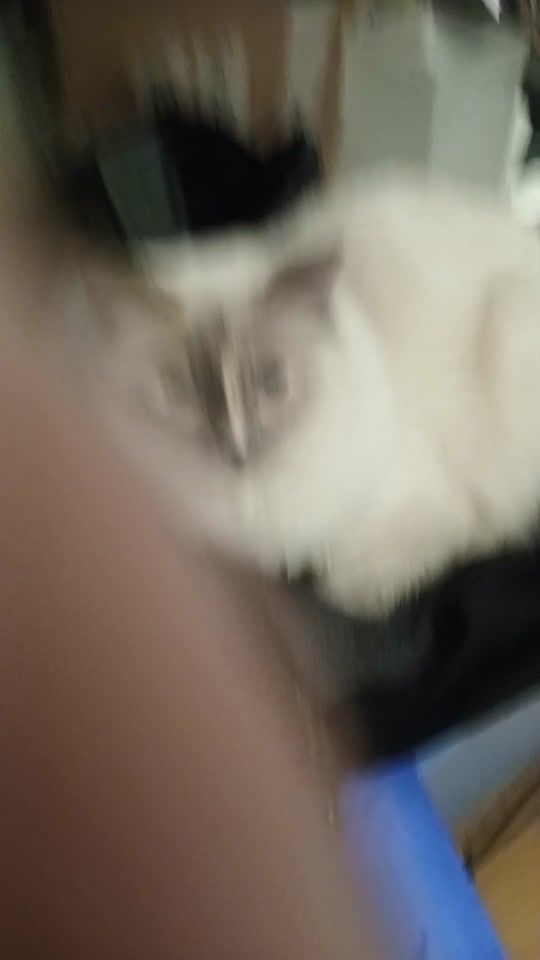 TikTok video thumbnail by nathalie4637