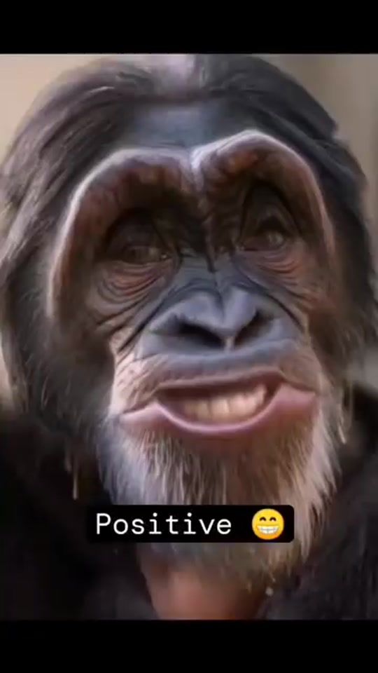TikTok video thumbnail by aija_klein