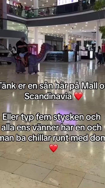 TikTok video thumbnail by ortentillstureplan