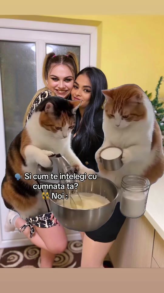 TikTok video thumbnail by madddalina27