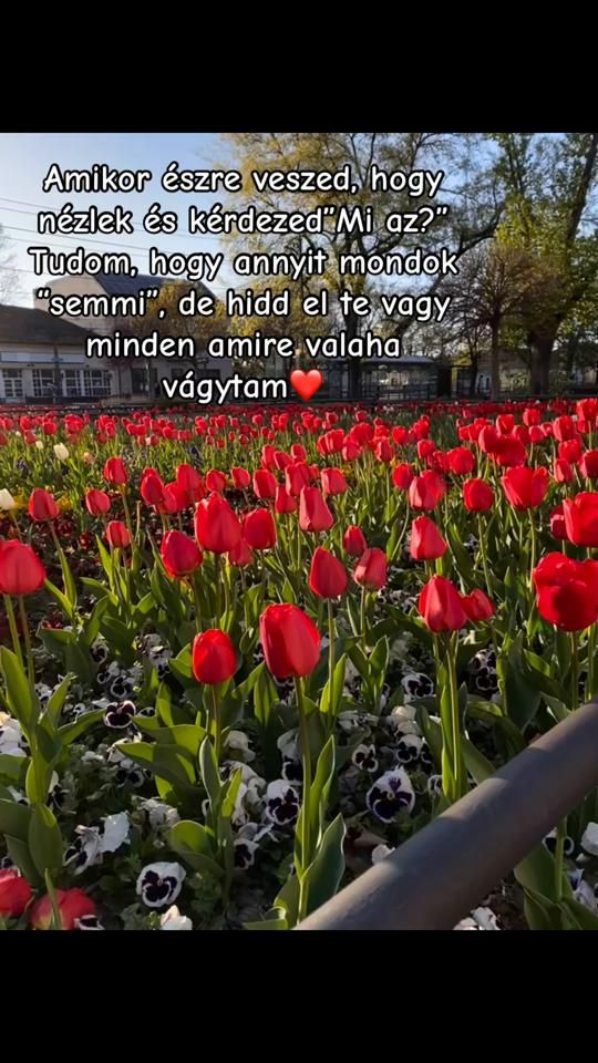 TikTok video thumbnail by nagymanoka
