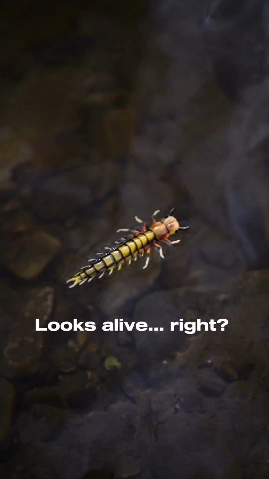 TikTok video thumbnail by naprivlac.sk_tomysbait