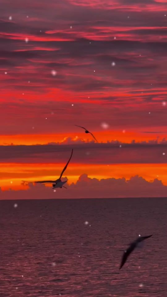 TikTok video thumbnail by farhad.552