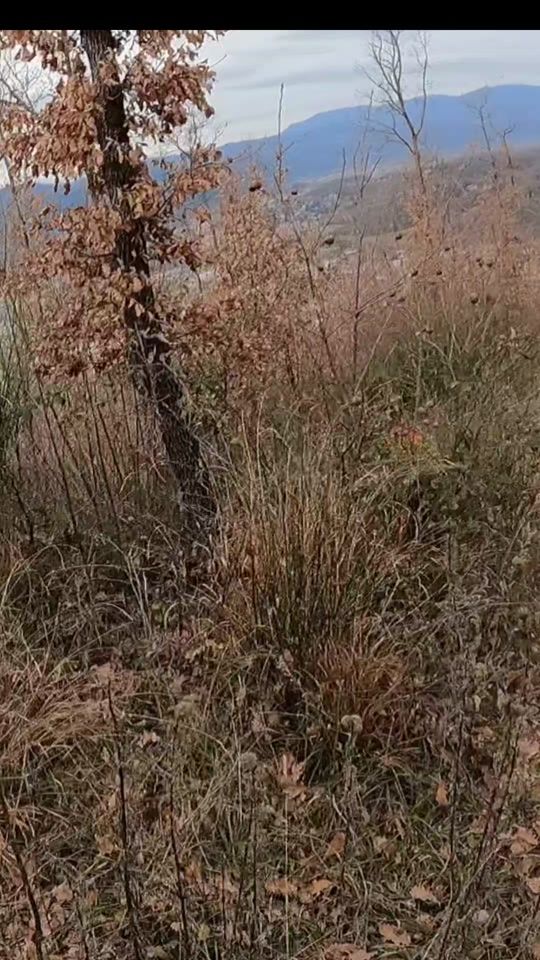 TikTok video thumbnail by passione_setter
