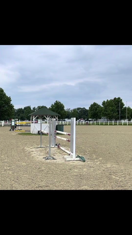 TikTok video thumbnail by showjumping.finni