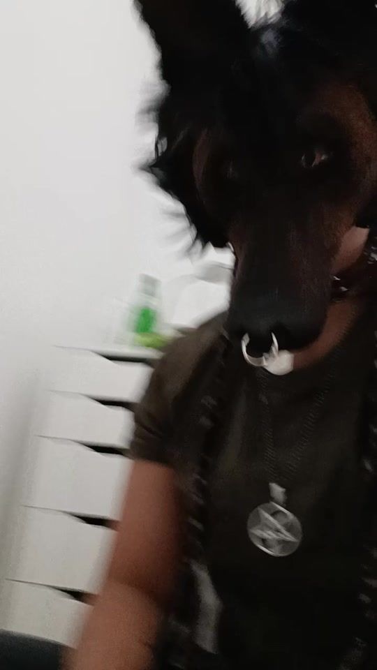 TikTok video thumbnail by bunchadogz