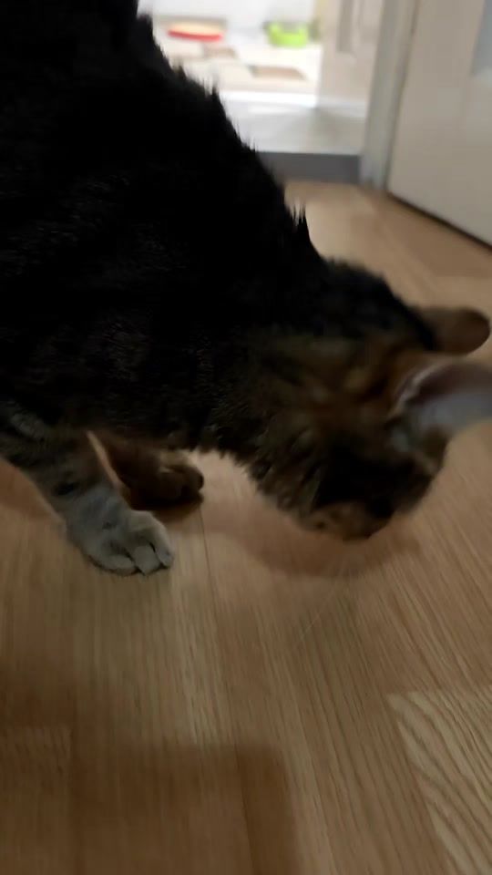 TikTok video thumbnail by simo_speedy